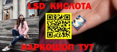 Альфа ПВП Ярославль