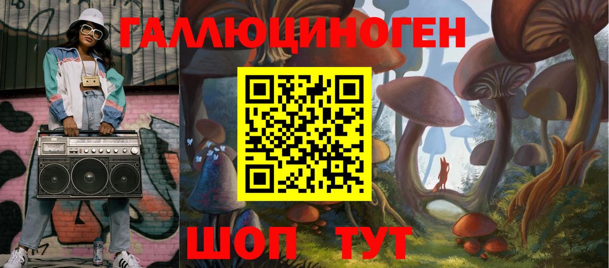 Псилоцибиновые грибы Cubensis Новороссийск